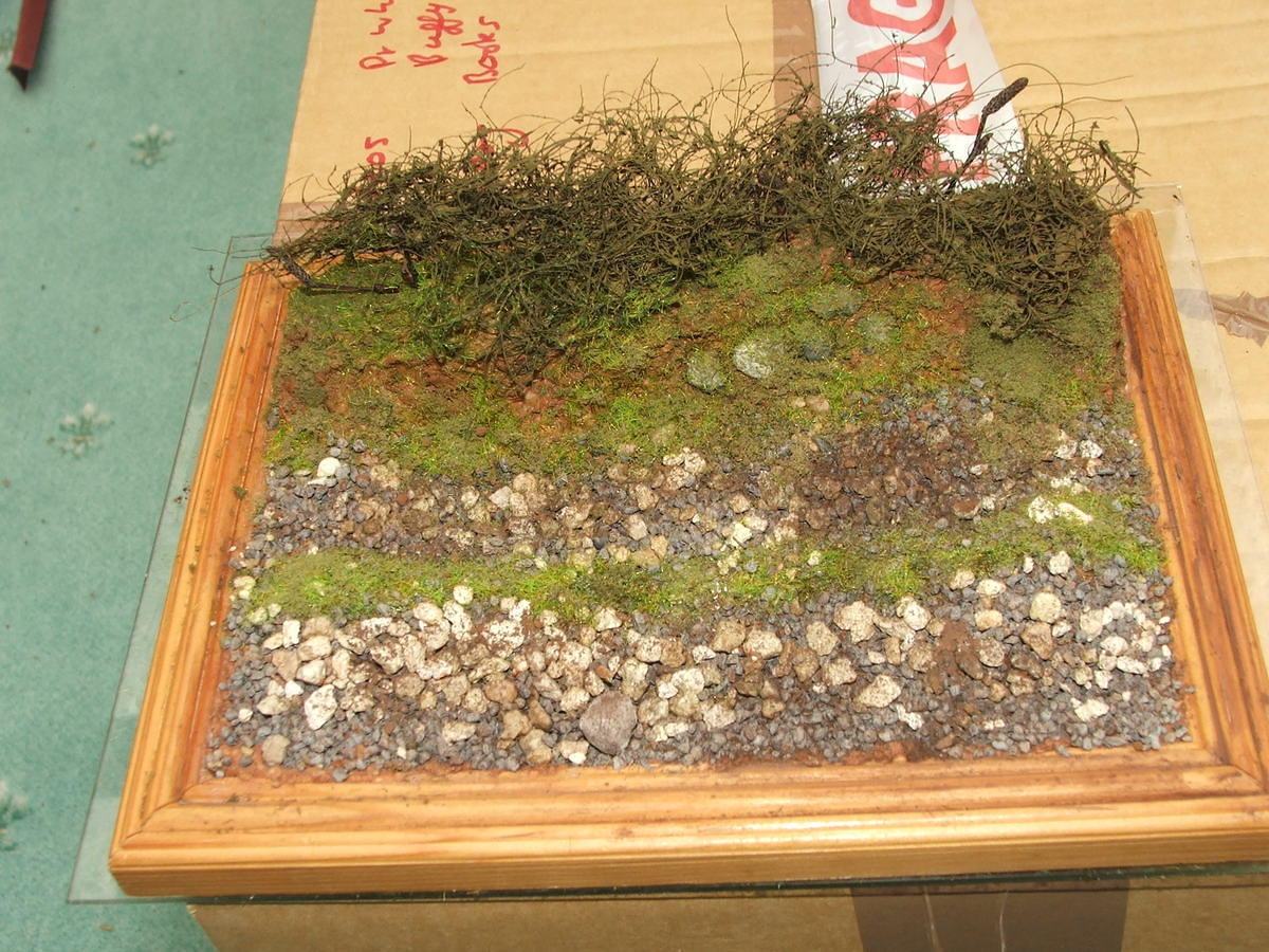 DSCF5973.JPG