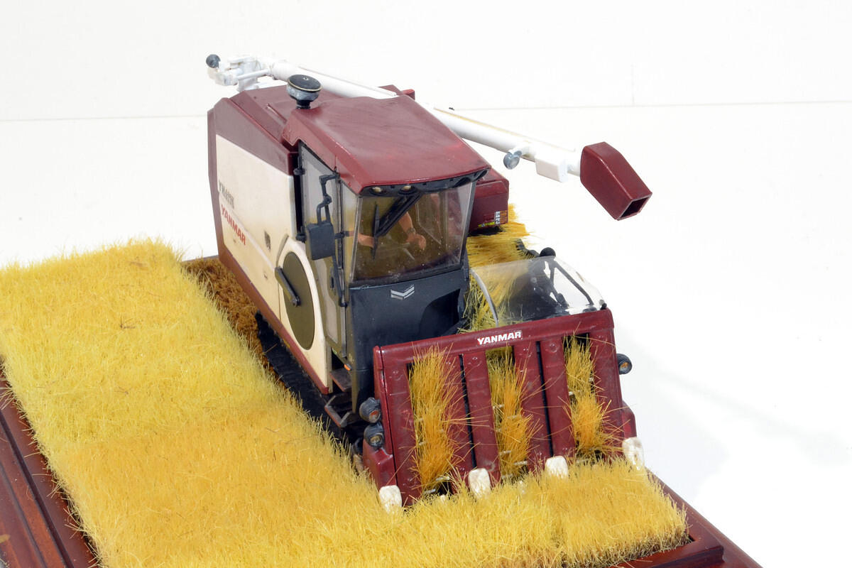 DSC 5539