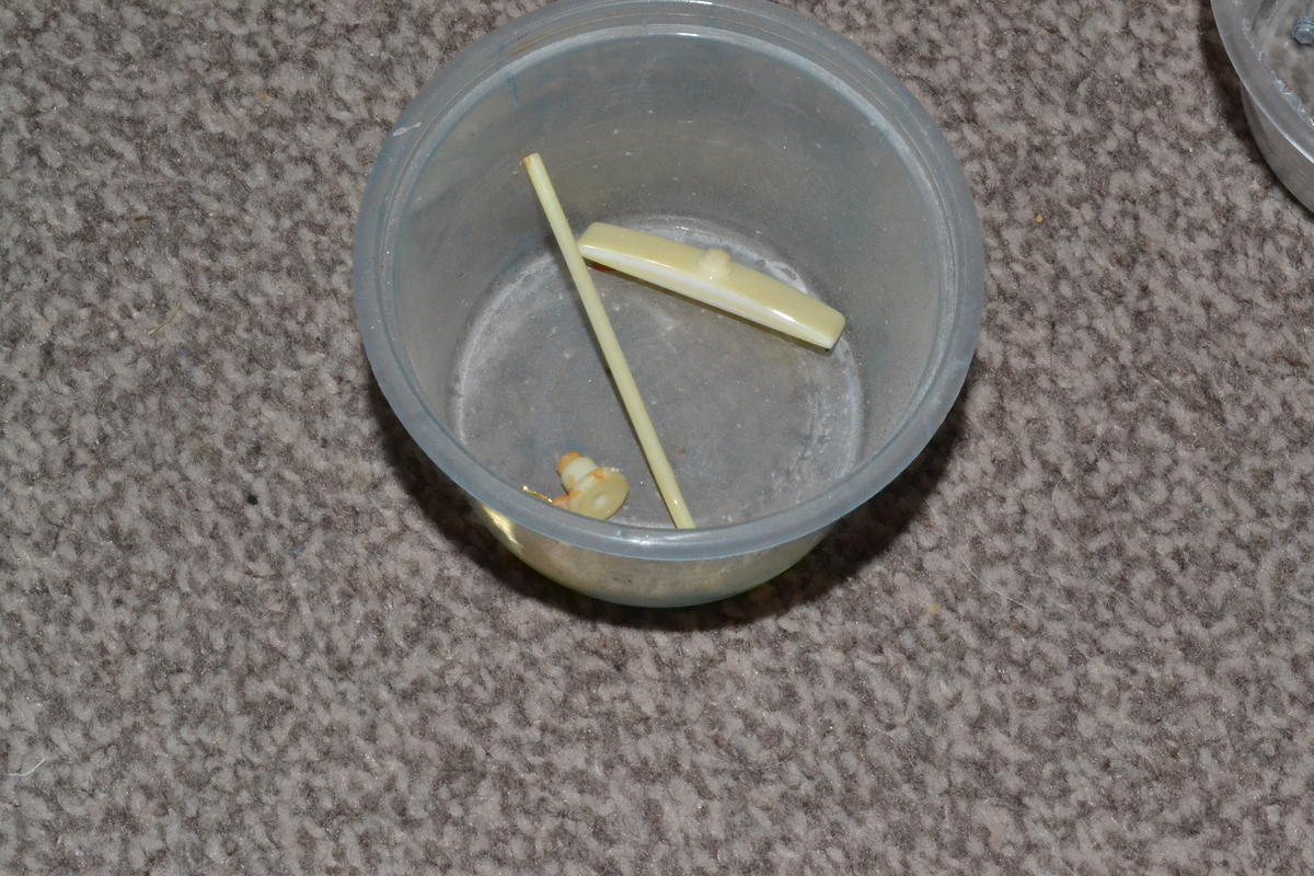 DSC_7775.JPG