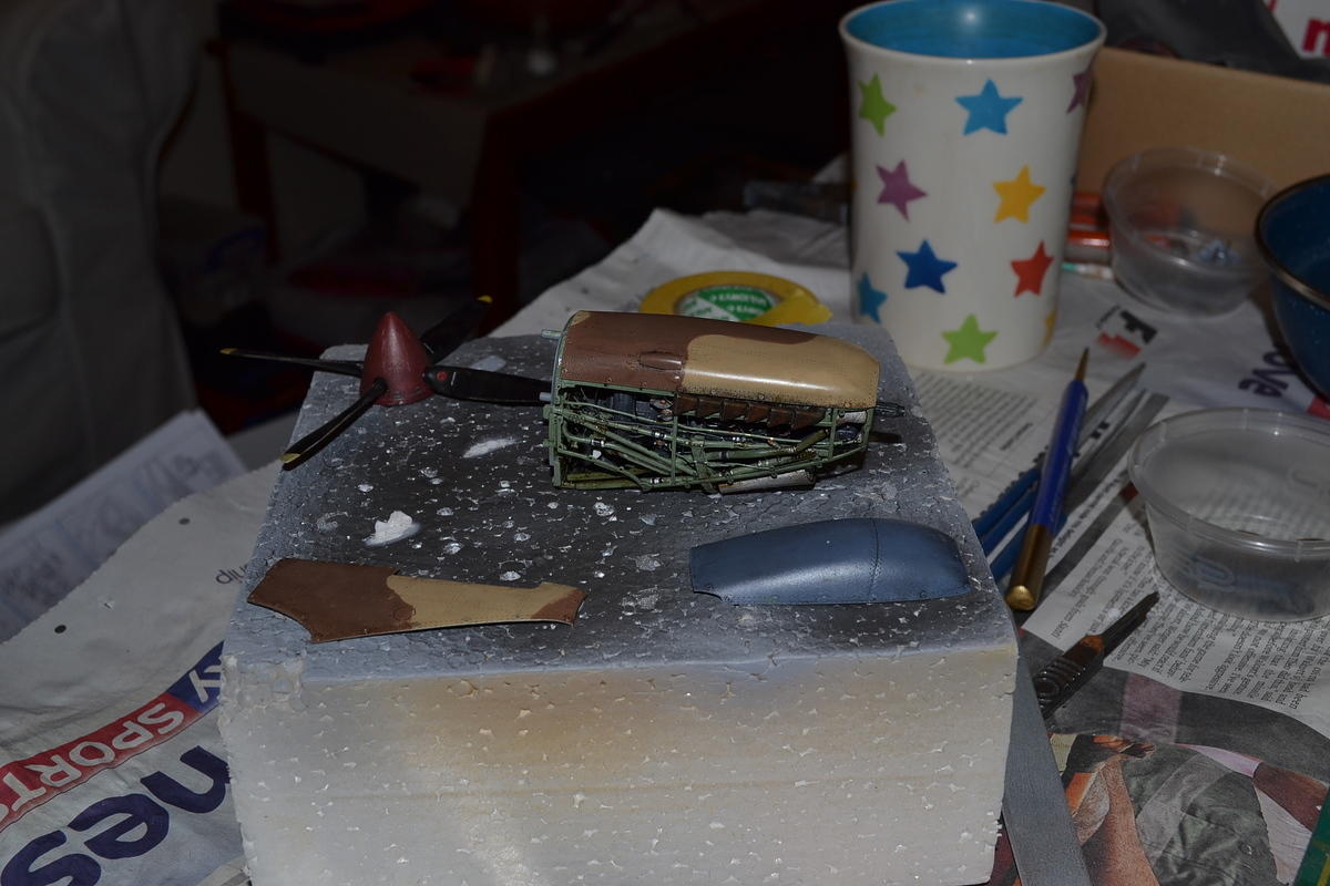 DSC_0517.JPG