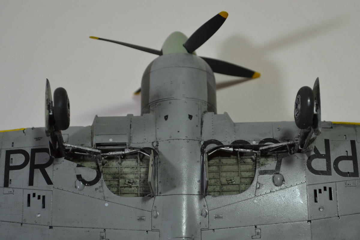 DSC_6189.JPG