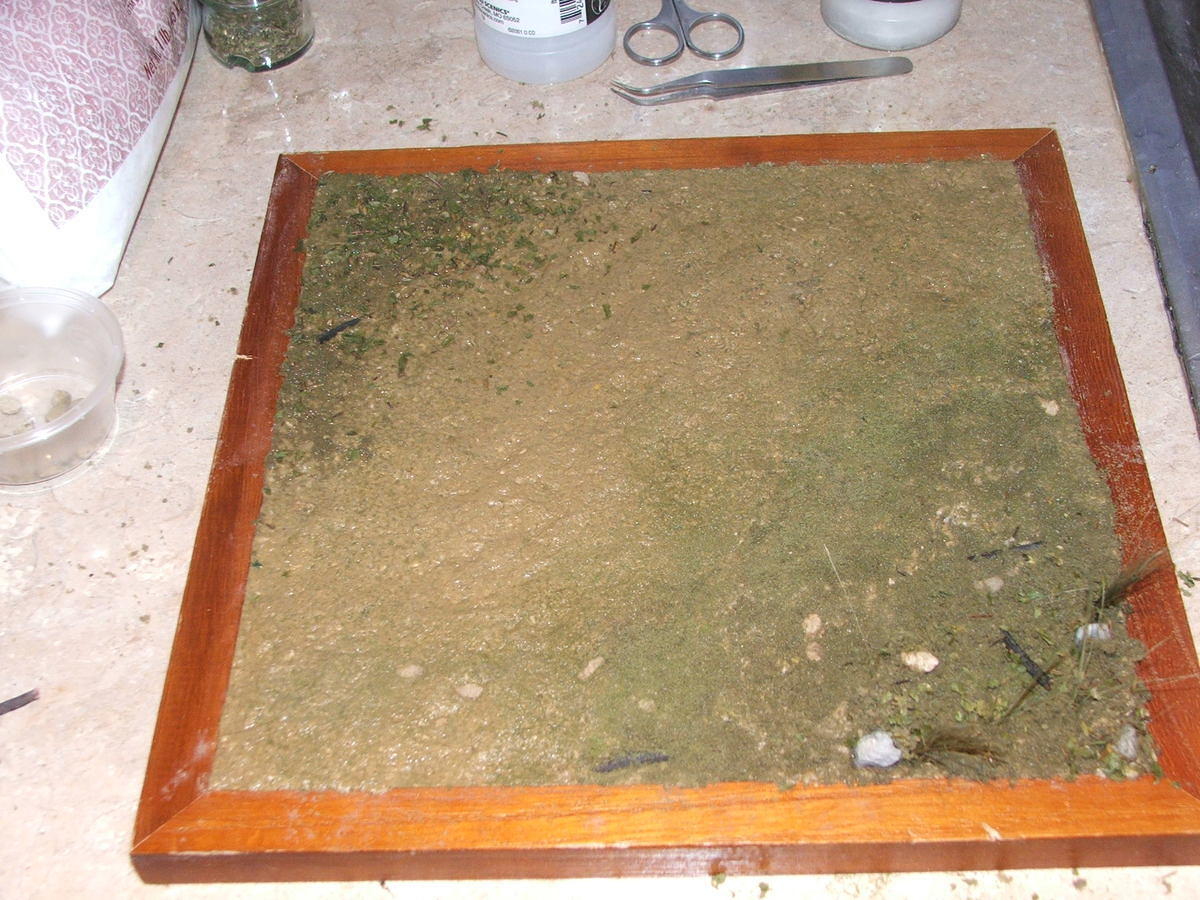 DSCF7329.JPG