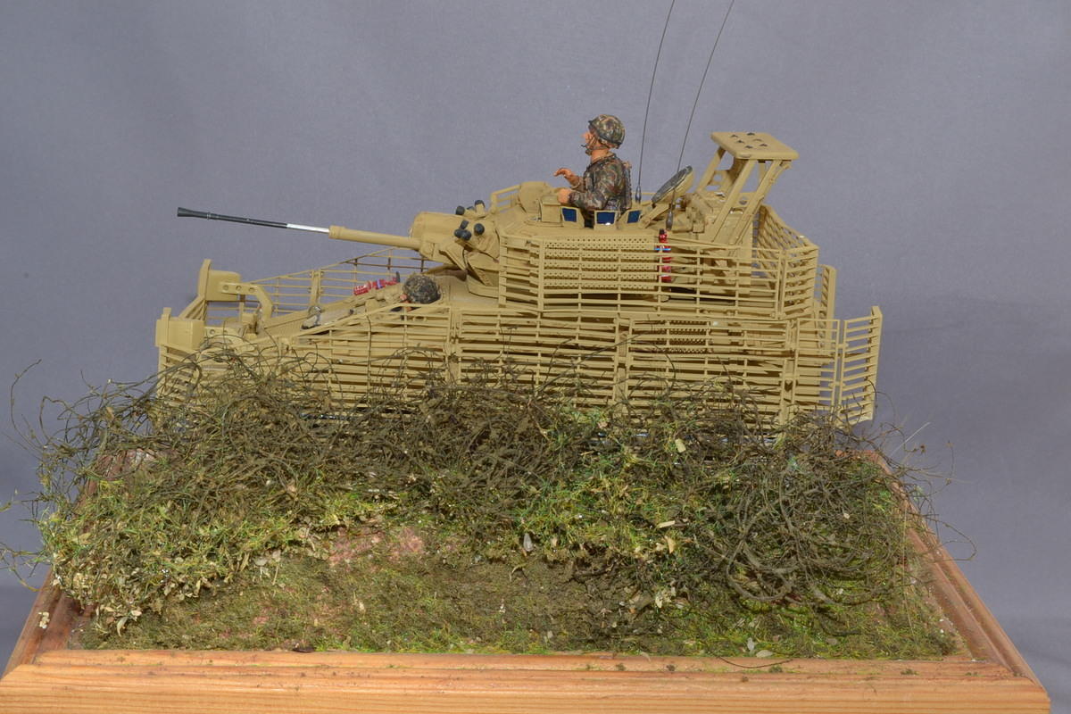 DSC_1037.JPG