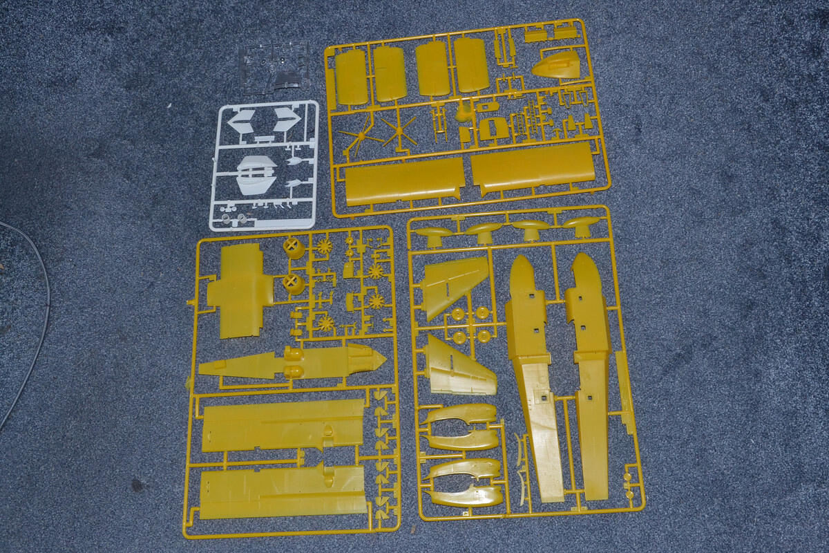 DSC 5131