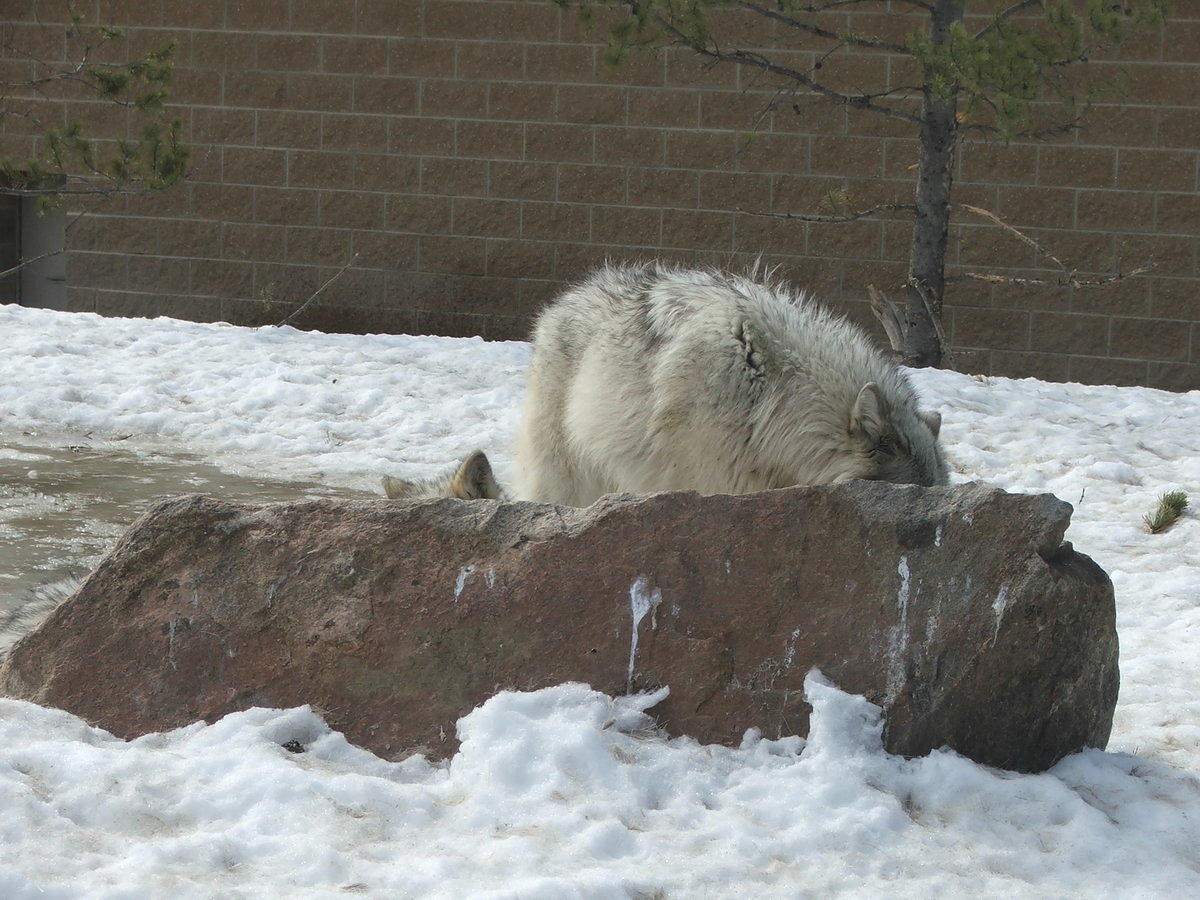 DSCF2588.JPG