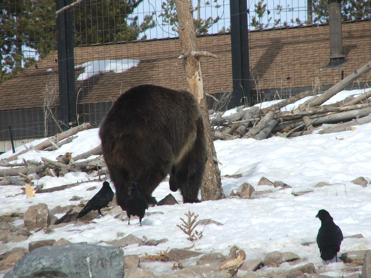 DSCF2601.JPG