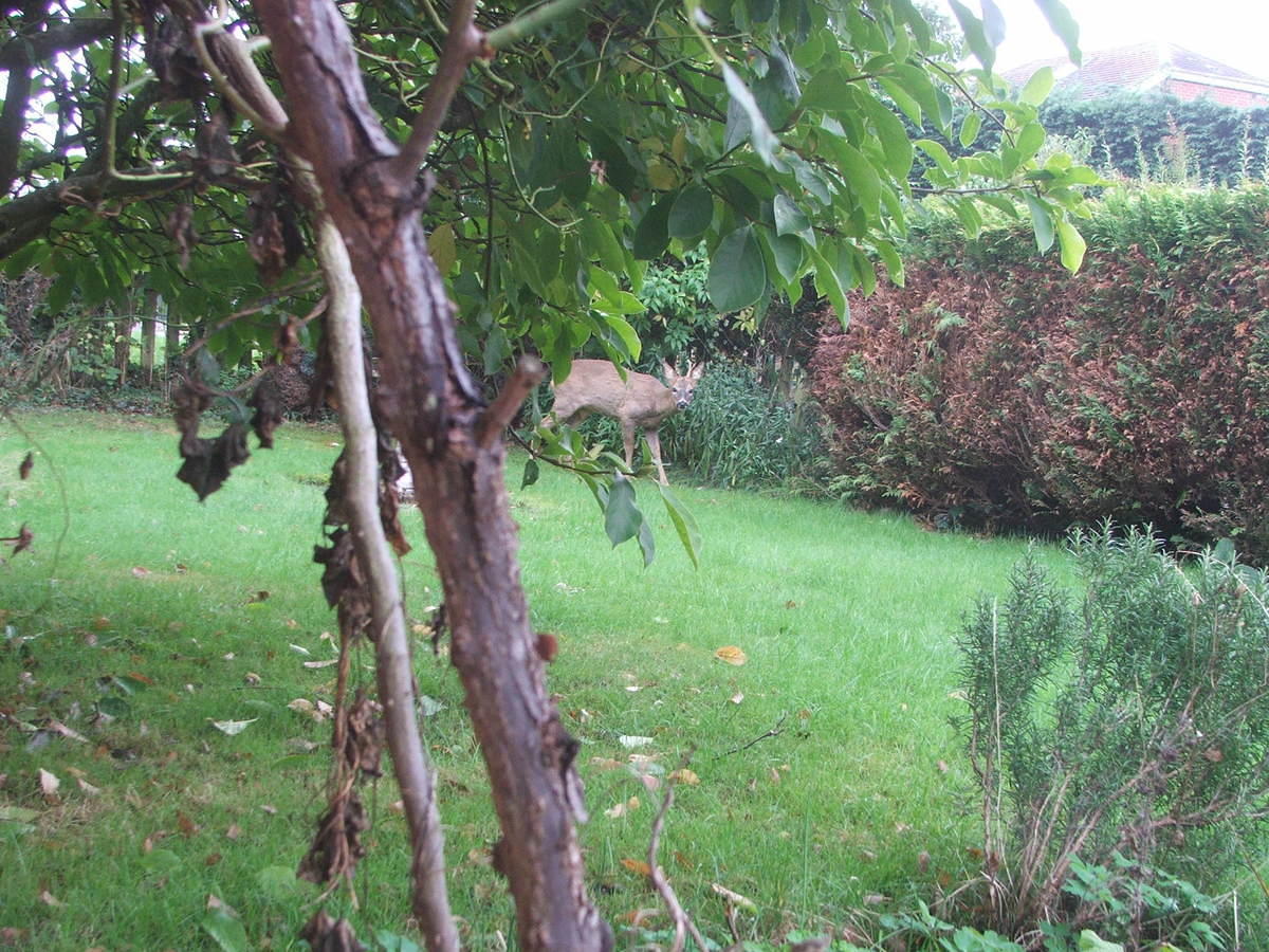 DSCF7945.JPG