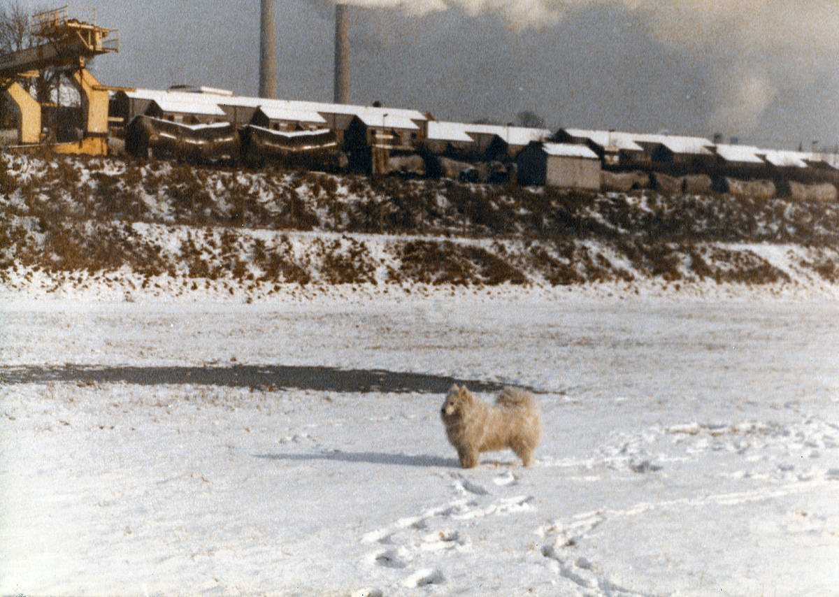 snowy0007_smaller.jpg