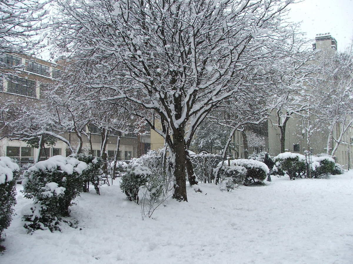 DSCF1419.JPG