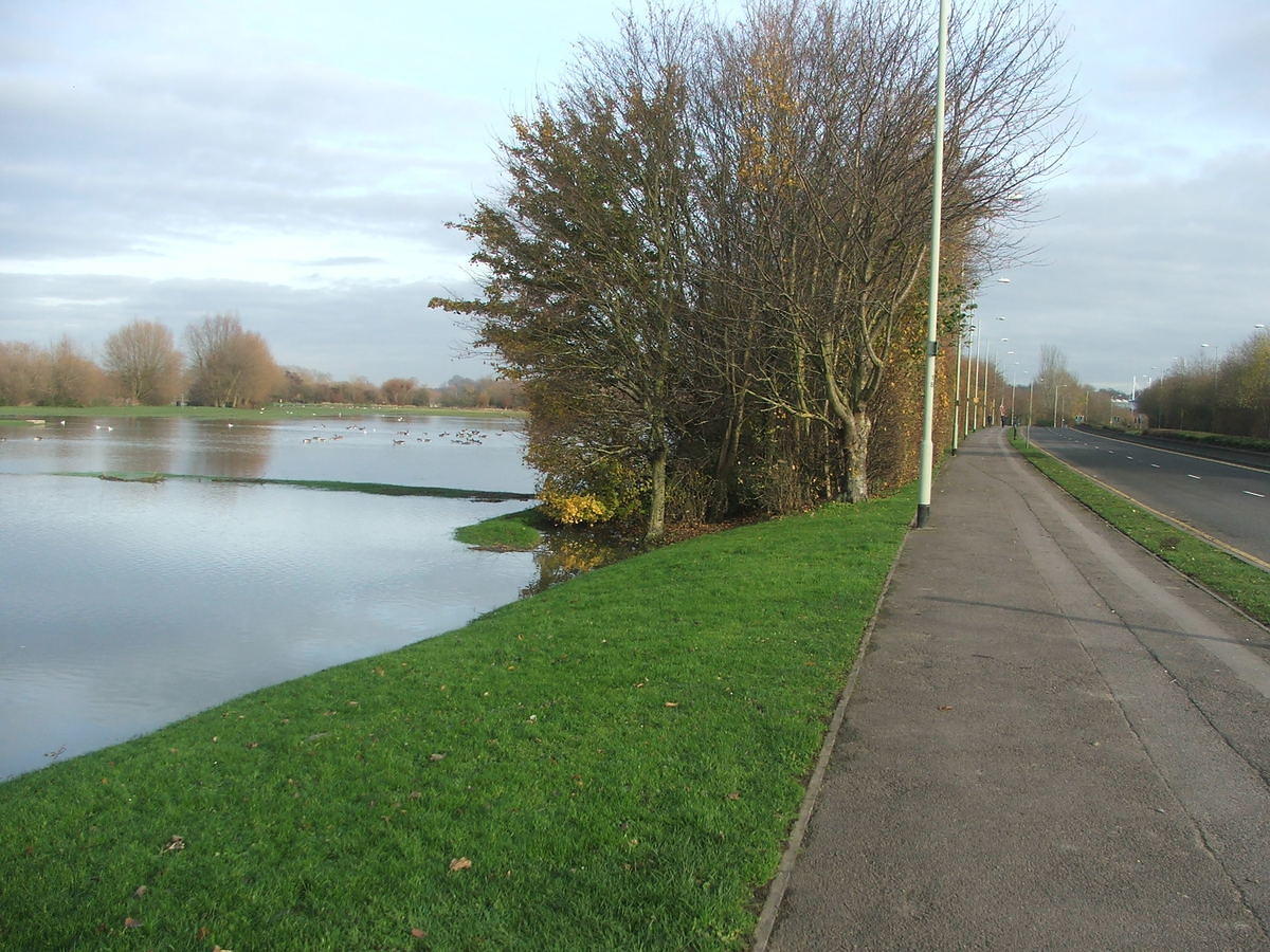 DSCF7139.JPG