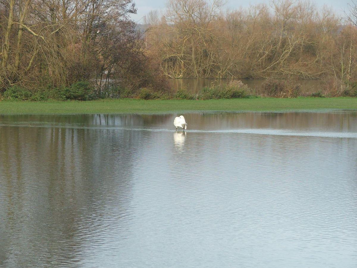 DSCF7140.JPG