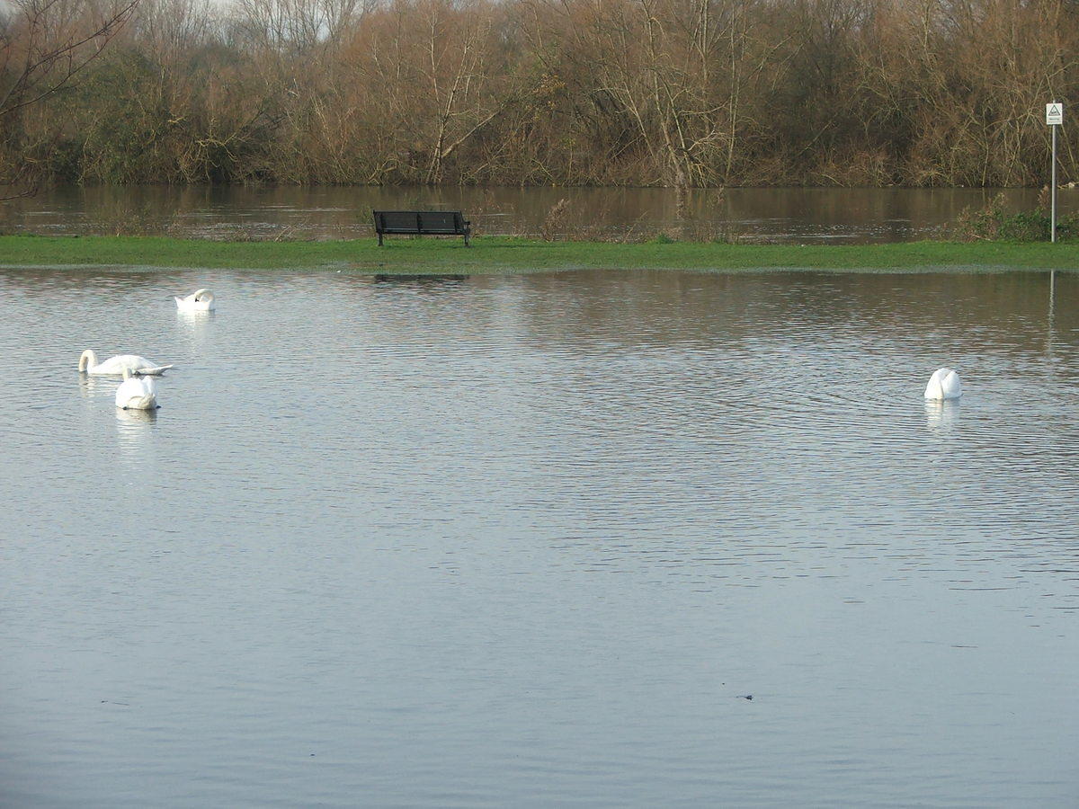 DSCF7143.JPG