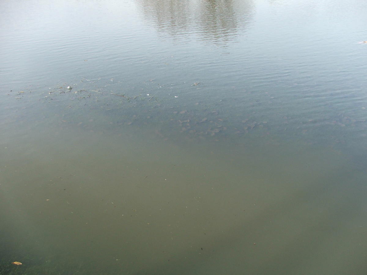 DSCF7144.JPG