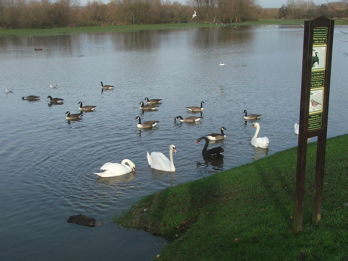 DSCF7145.JPG