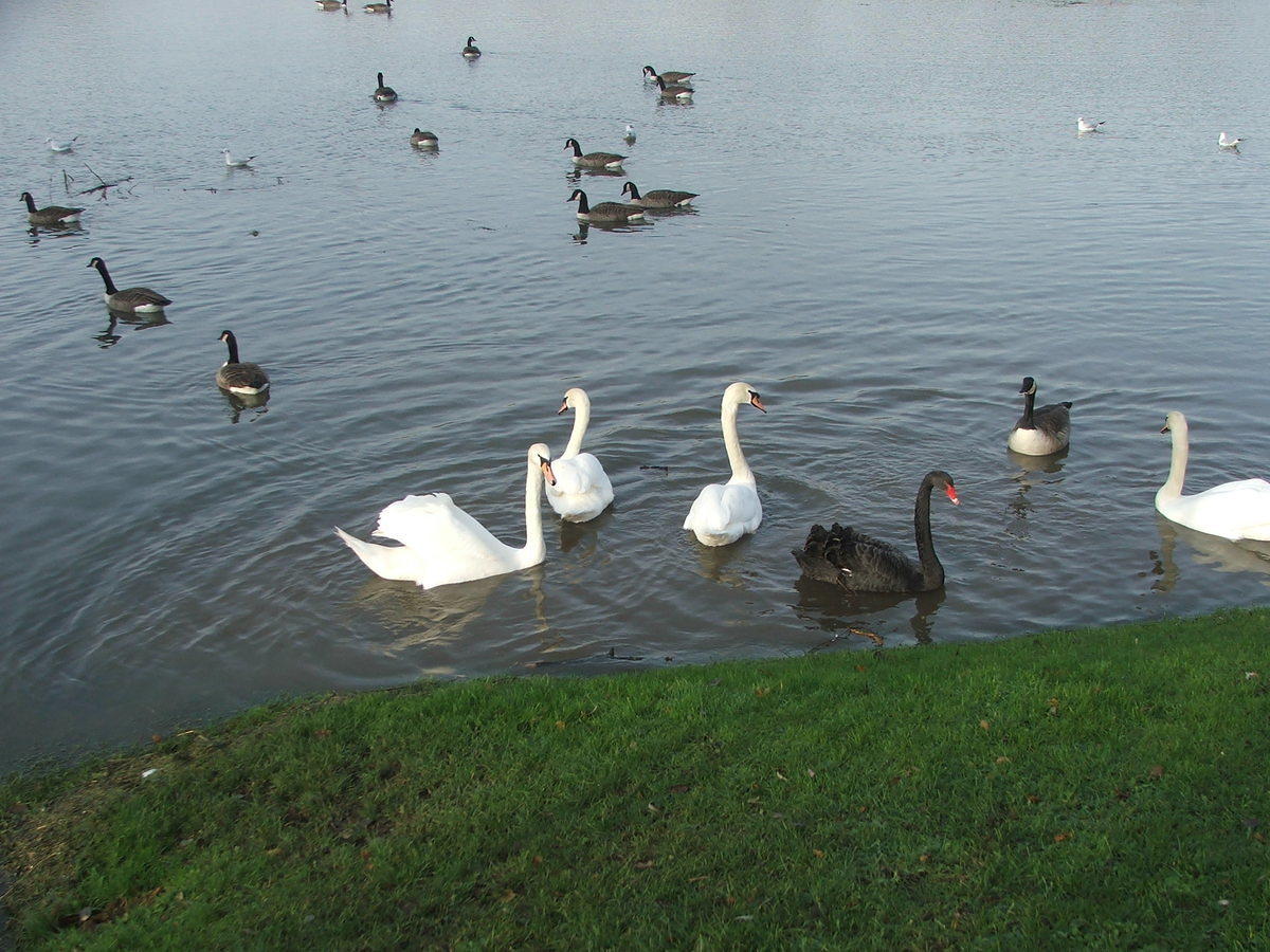 DSCF7147.JPG