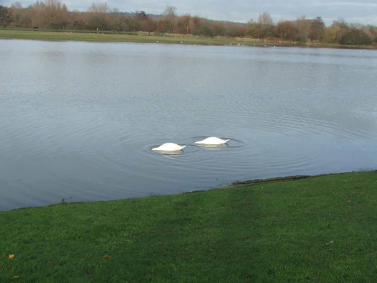 DSCF7149.JPG