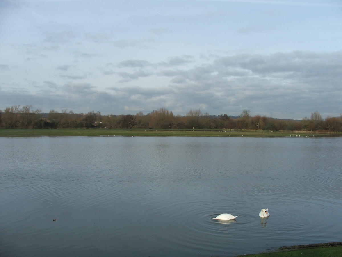 DSCF7151.JPG