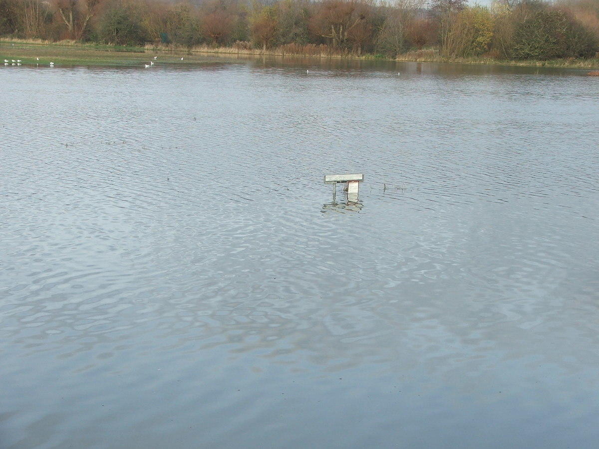 DSCF7152.JPG