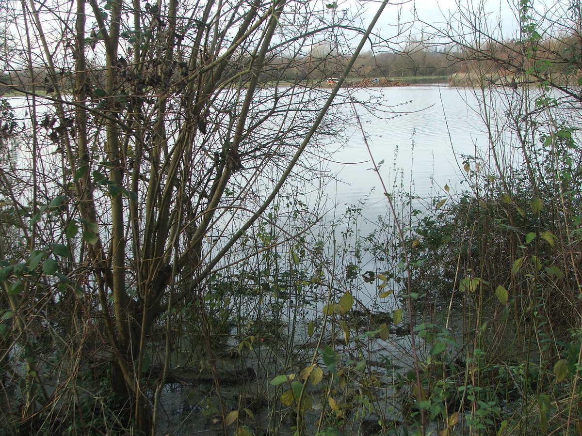 DSCF7154.JPG