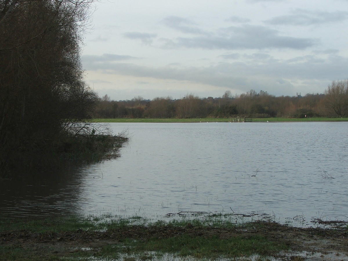 DSCF7163.JPG