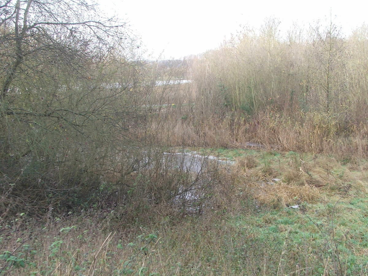 DSCF7164.JPG