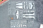 DSC 5926