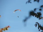 DSCF6870.JPG