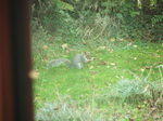DSCF6932.JPG
