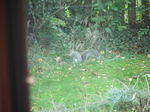 DSCF6936.JPG