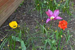 DSC_2575.JPG