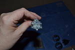 CSC_2253.JPG