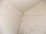 DSCF7619.JPG