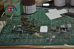 DSC_1884.JPG