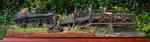 DSC_1447.JPG