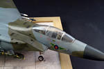 DSC_8758.JPG