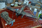 DSC_4491.JPG