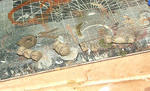 DSCF5794.JPG
