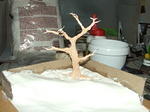 DSCF3694.JPG
