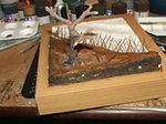 DSCF3703.JPG