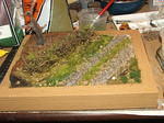 DSCF3709.JPG