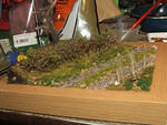 DSCF3712.JPG