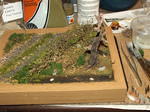 DSCF3716.JPG