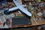 DSC_2164.JPG