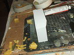 DSCF5273.JPG