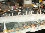 DSCF5310.JPG