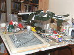 DSCF5528.JPG
