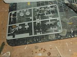 DSCF5536.JPG