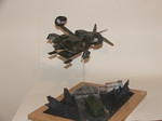 DSCF5572.JPG