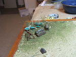 DSCF7463.JPG