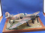 DSCF7485.JPG